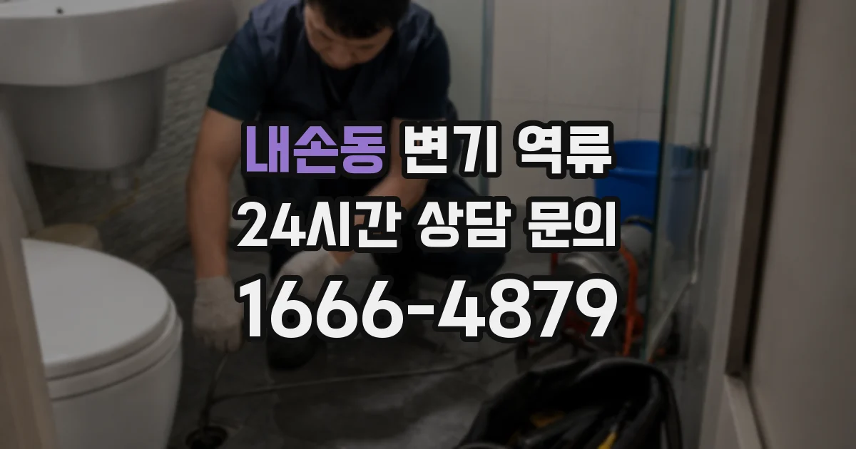 내손동 변기 역류