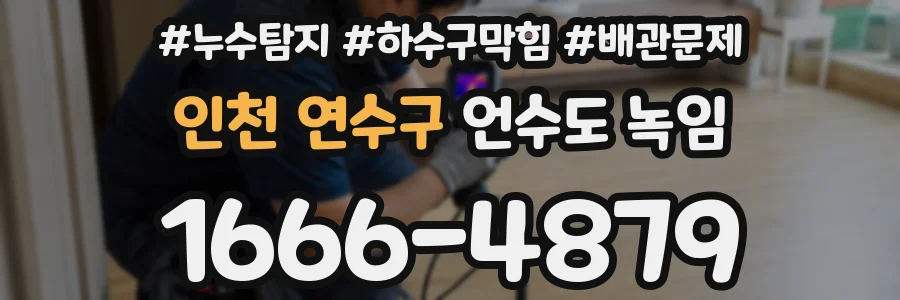 인천 연수구 언수도 녹임