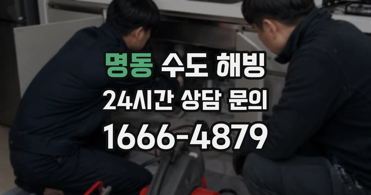 명동 수도 해빙