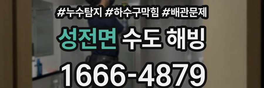 성전면 수도 해빙