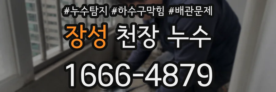 장성 천장 누수