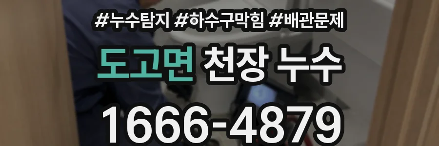 도고면 천장 누수