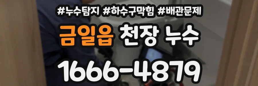 금일읍 천장 누수