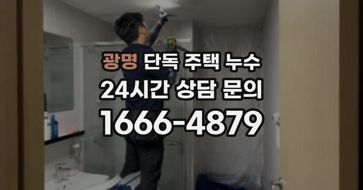 광명 단독 주택 누수