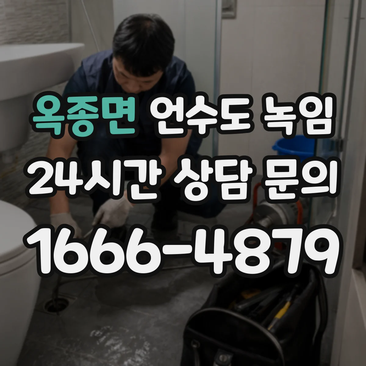 옥종면 언수도 녹임