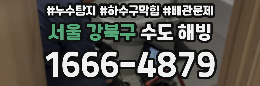 서울 강북구 수도 해빙