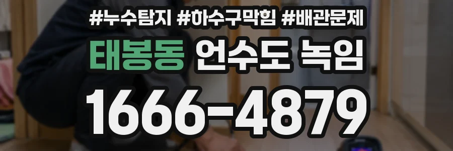 태봉동 언수도 녹임