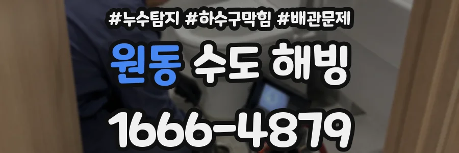 원동 수도 해빙