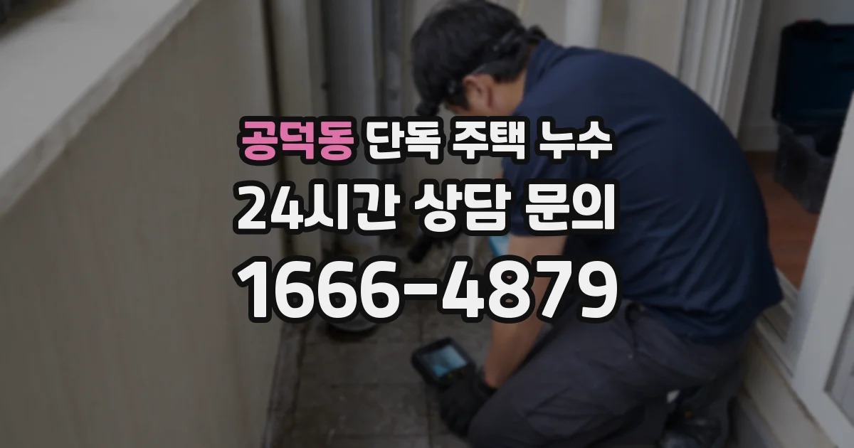 공덕동 단독 주택 누수