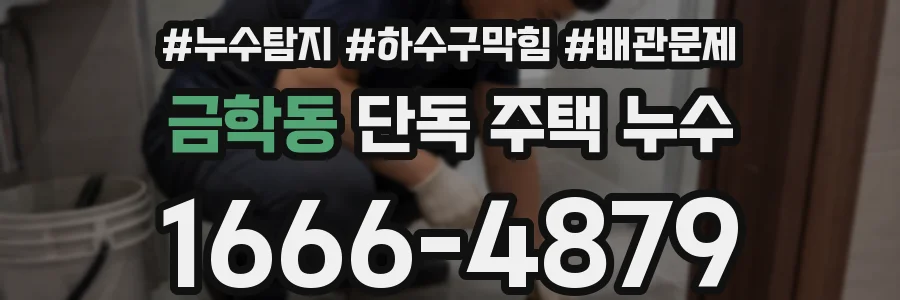 금학동 단독 주택 누수