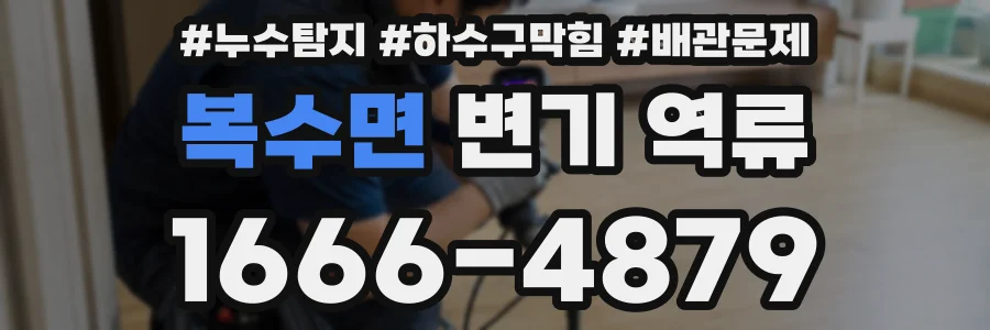 복수면 변기 역류