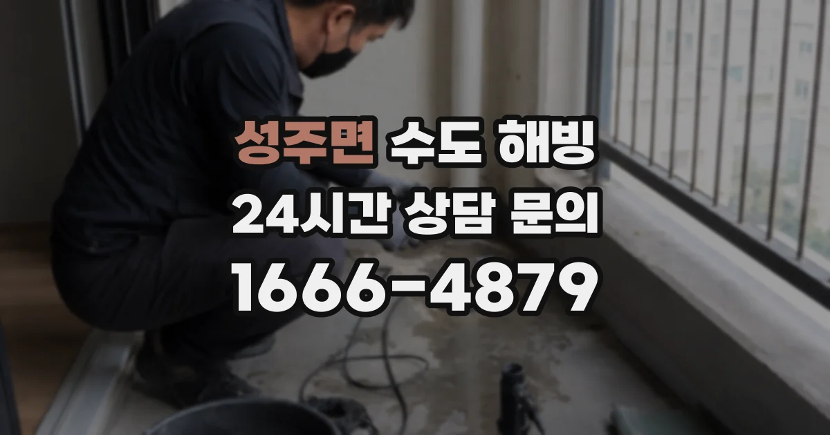 성주면 수도 해빙