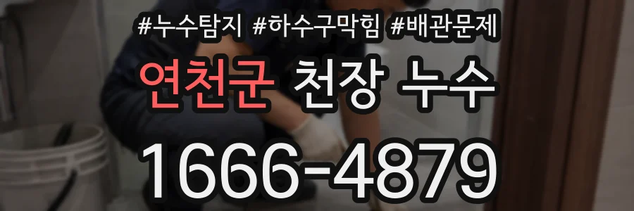 연천군 천장 누수