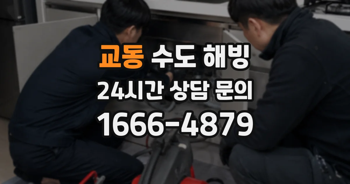 교동 수도 해빙