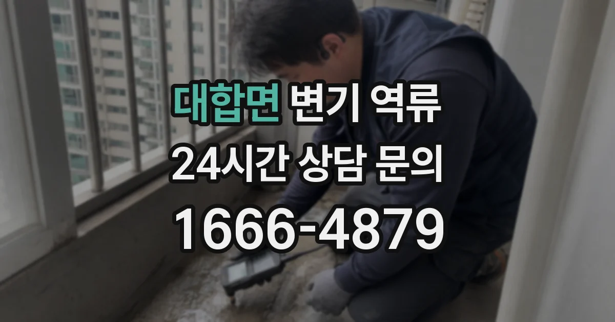 대합면 변기 역류