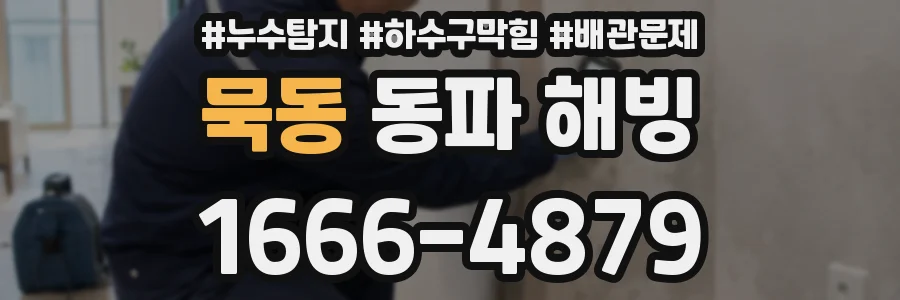 묵동 동파 해빙