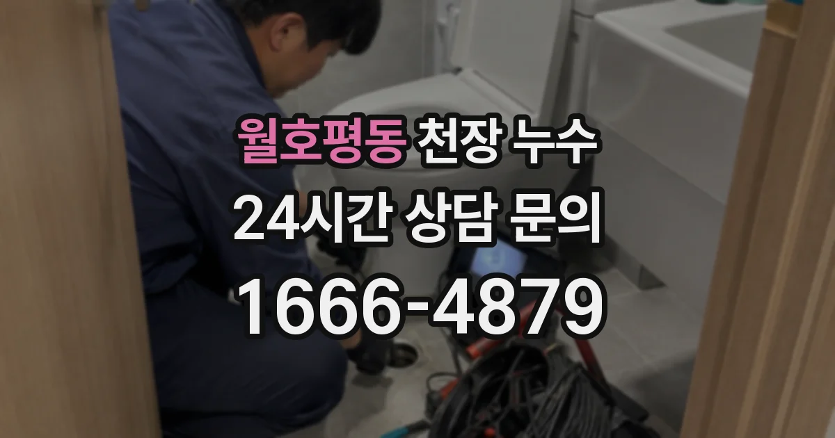 월호평동 천장 누수