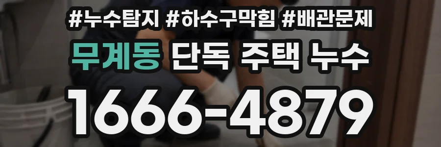 무계동 단독 주택 누수