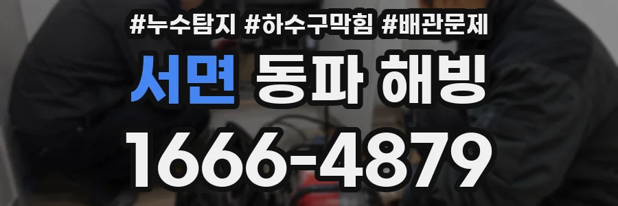 서면 동파 해빙