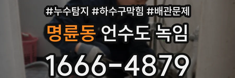 명륜동 언수도 녹임