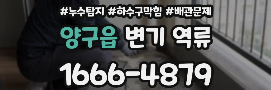 양구읍 변기 역류
