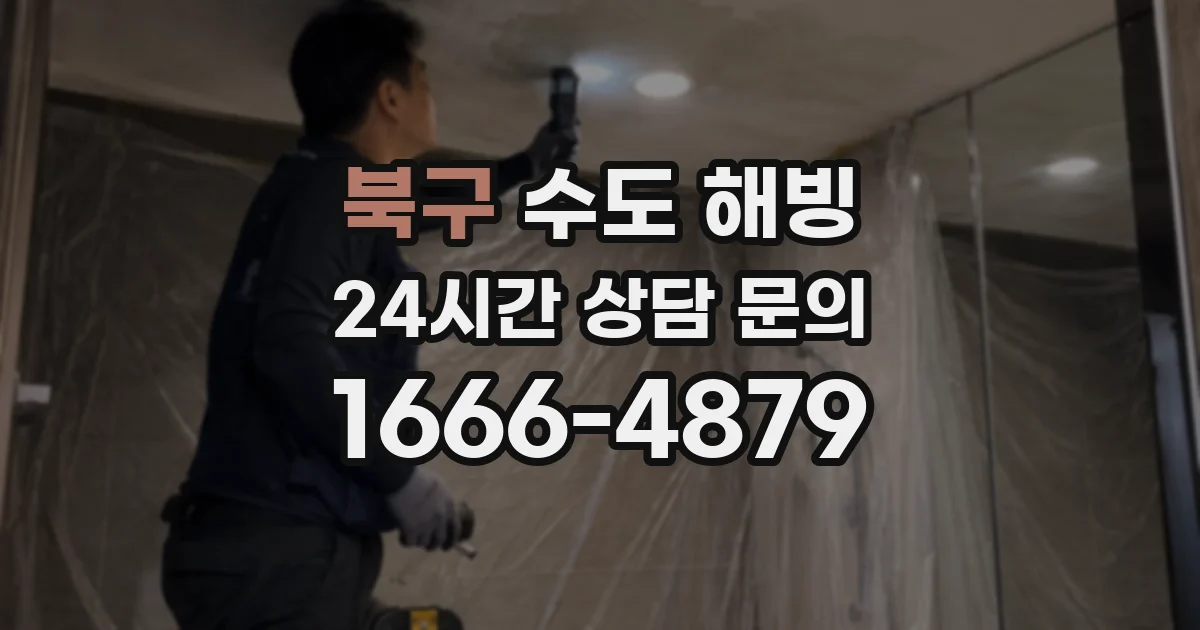 북구 수도 해빙
