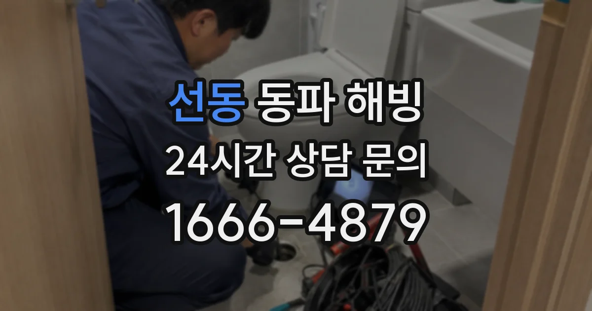 선동 동파 해빙