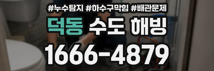 덕동 수도 해빙