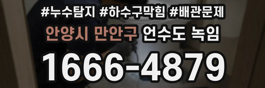 안양시 만안구 언수도 녹임