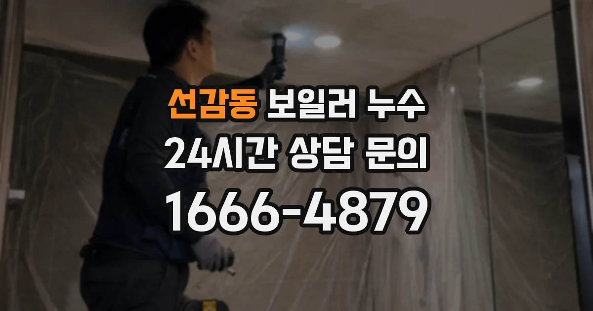 선감동 보일러 누수