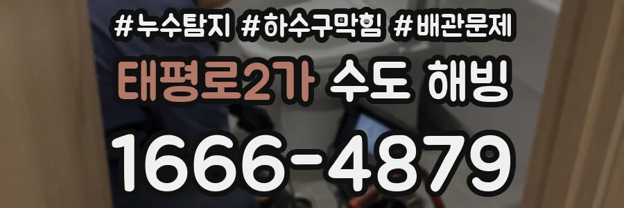 태평로2가 수도 해빙