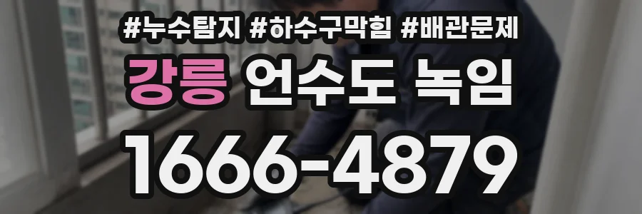 강릉 언수도 녹임