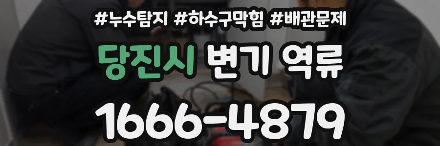 당진시 변기 역류