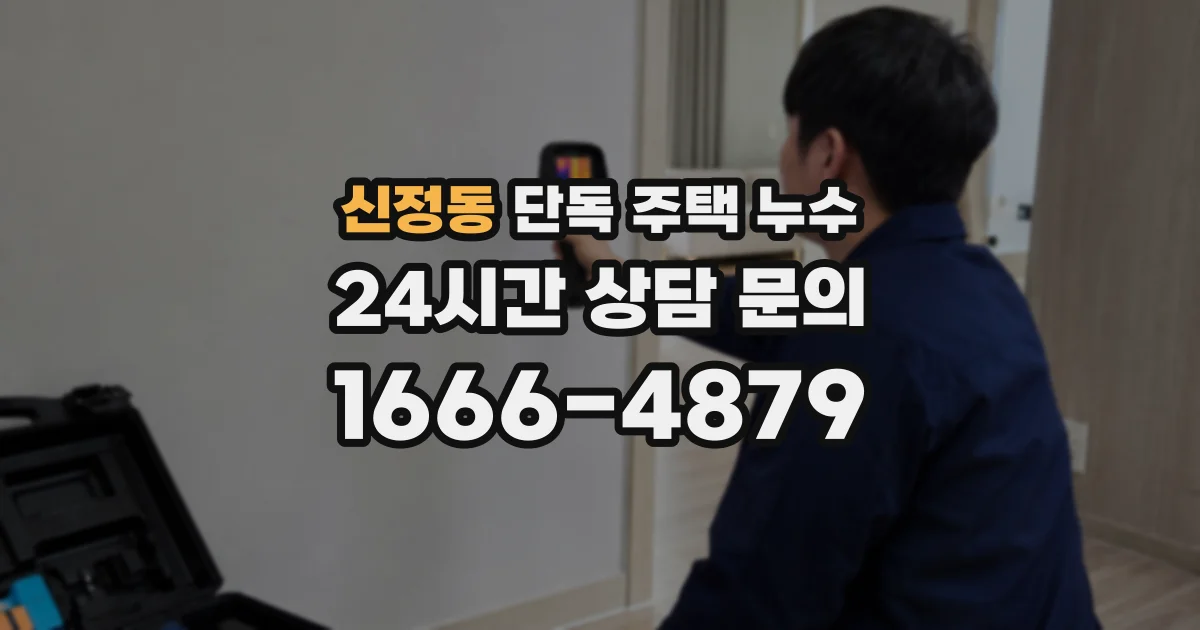 신정동 단독 주택 누수