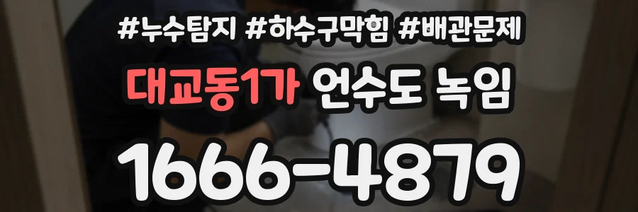 대교동1가 언수도 녹임