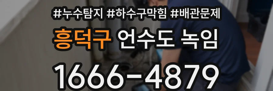 흥덕구 언수도 녹임