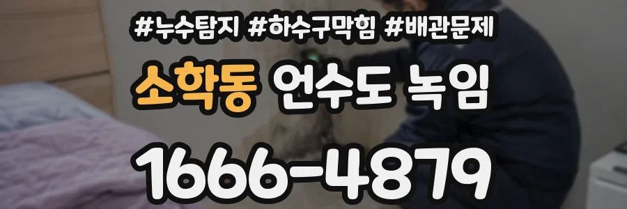 소학동 언수도 녹임