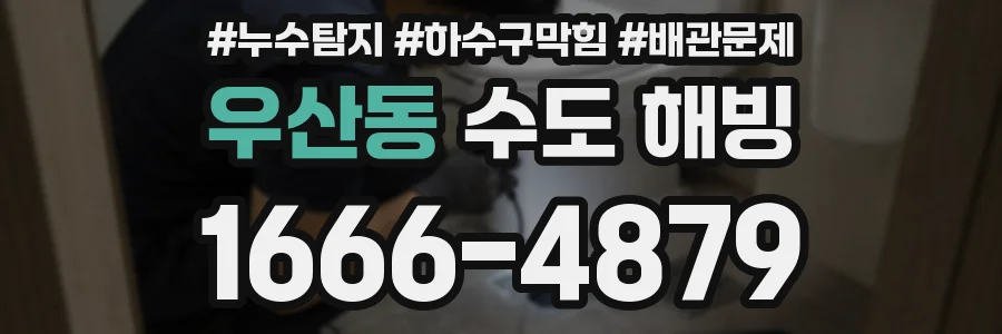 우산동 수도 해빙
