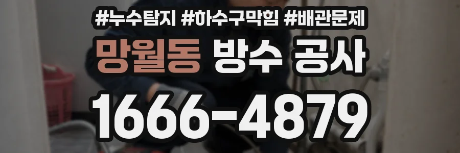 망월동 방수 공사