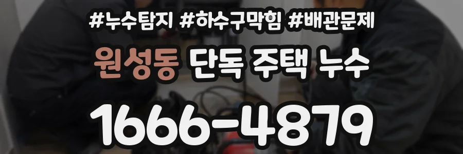 원성동 단독 주택 누수