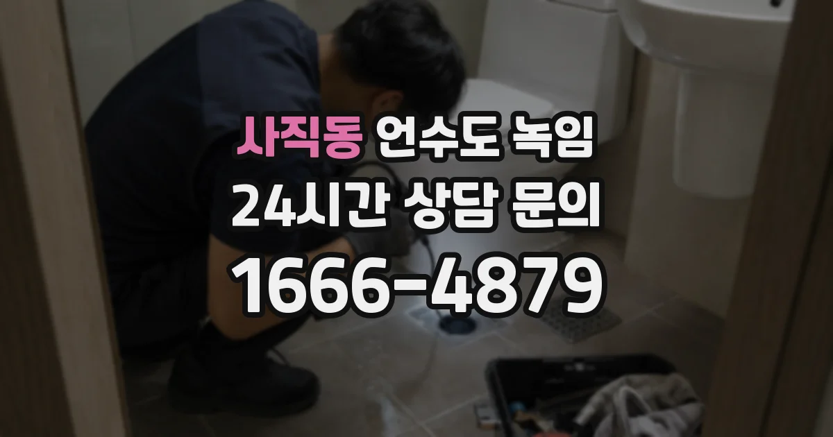 사직동 언수도 녹임