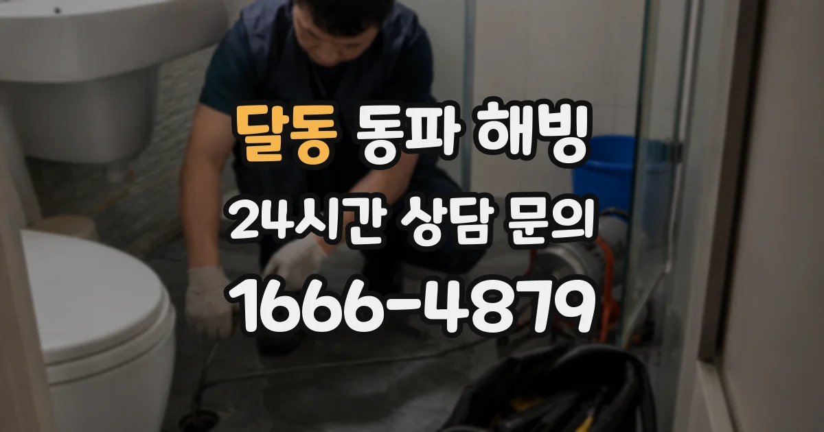 달동 동파 해빙