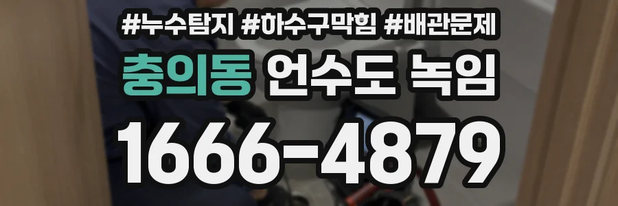 충의동 언수도 녹임