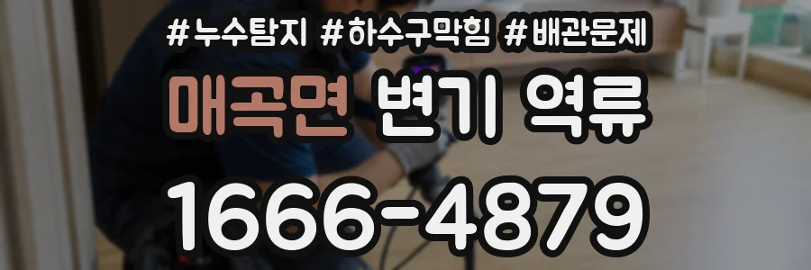 매곡면 변기 역류