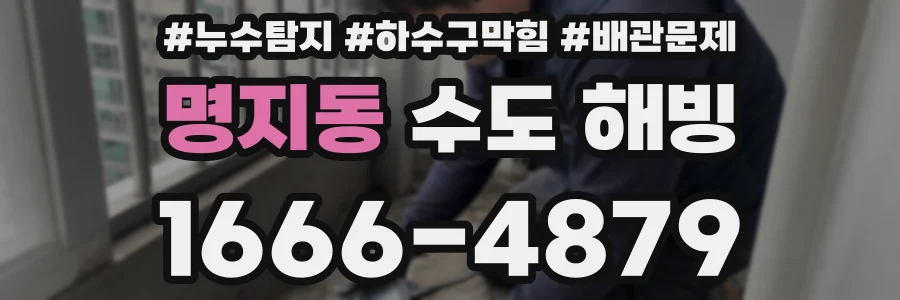 명지동 수도 해빙
