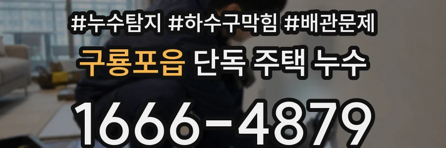 구룡포읍 단독 주택 누수