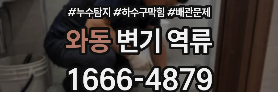 와동 변기 역류