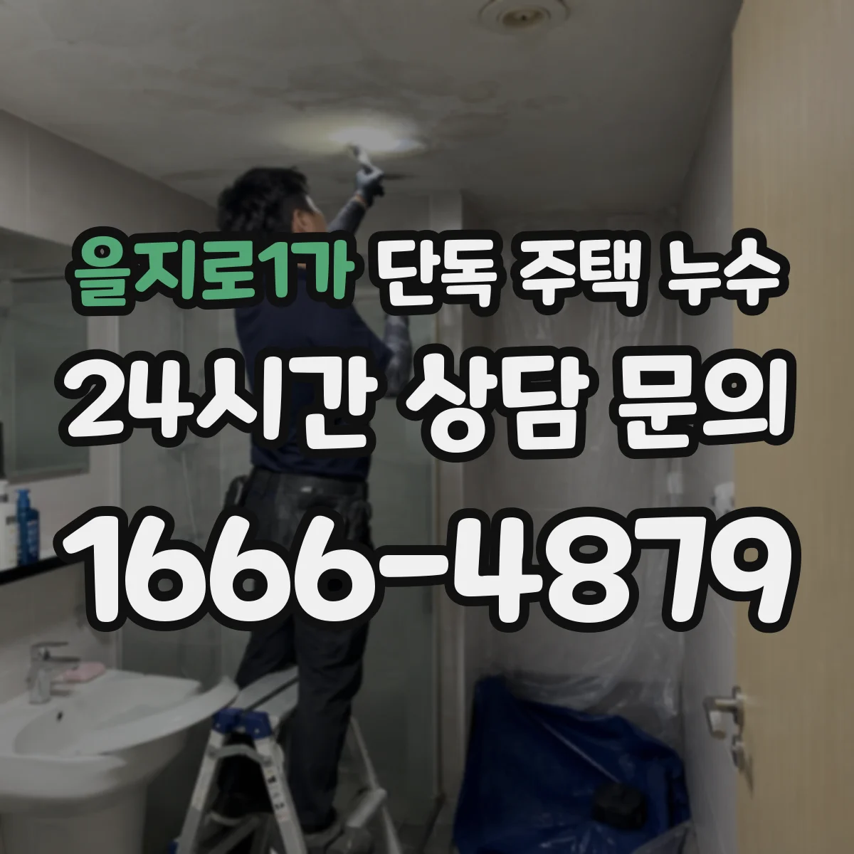 을지로1가 단독 주택 누수