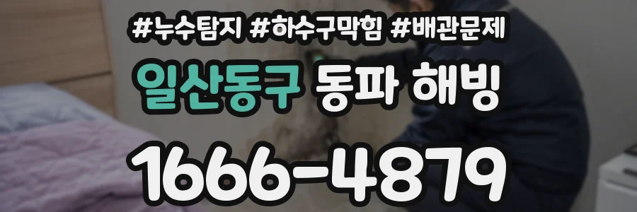 일산동구 동파 해빙