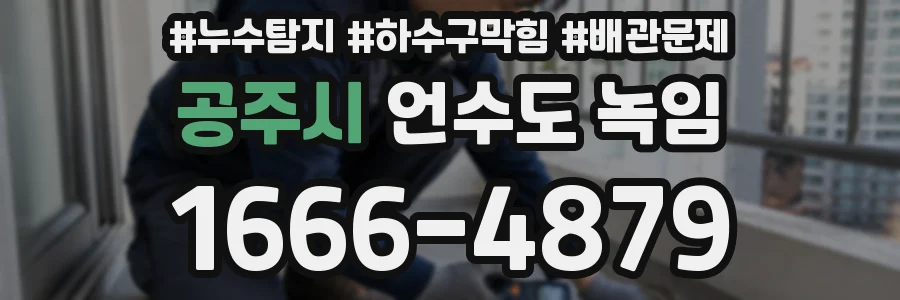 공주시 언수도 녹임